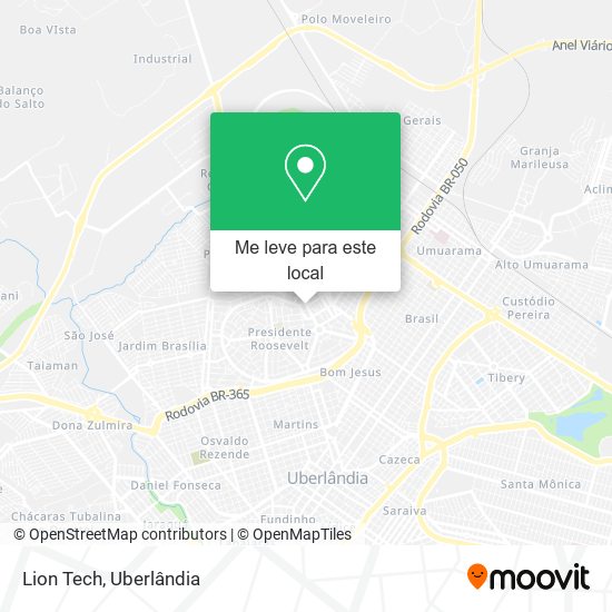 Lion Tech mapa