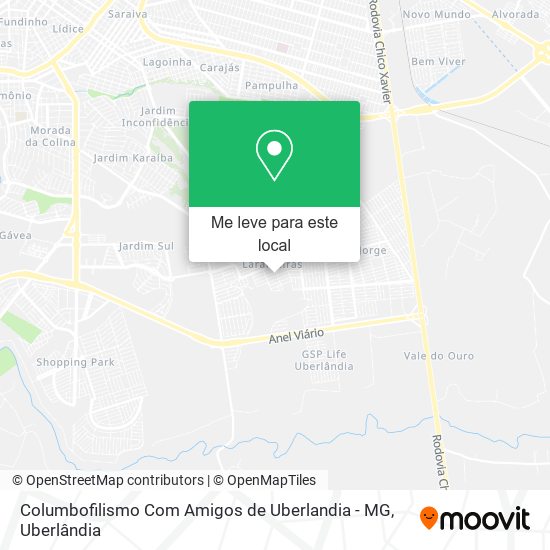 Columbofilismo Com Amigos de Uberlandia - MG mapa