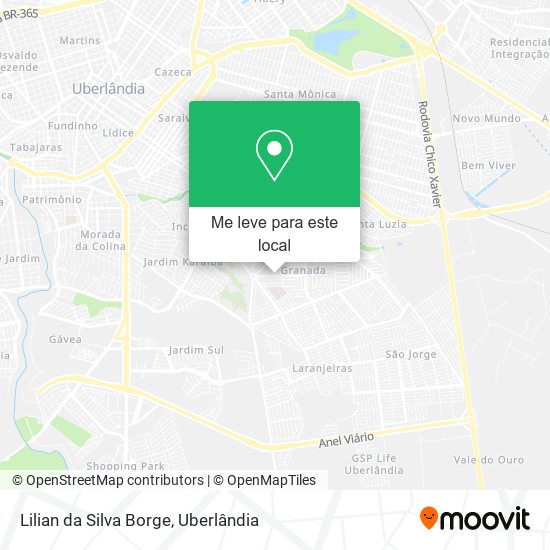 Lilian da Silva Borge mapa