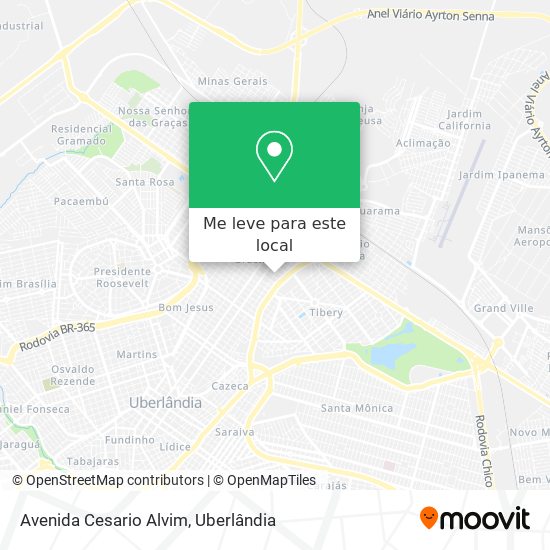 Avenida Cesario Alvim mapa