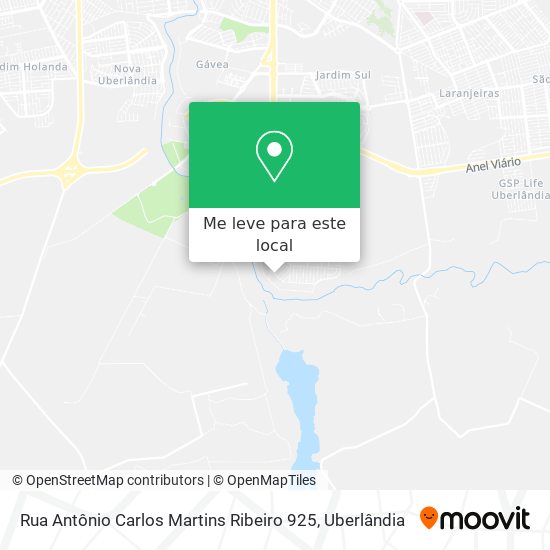 Rua Antônio Carlos Martins Ribeiro 925 mapa