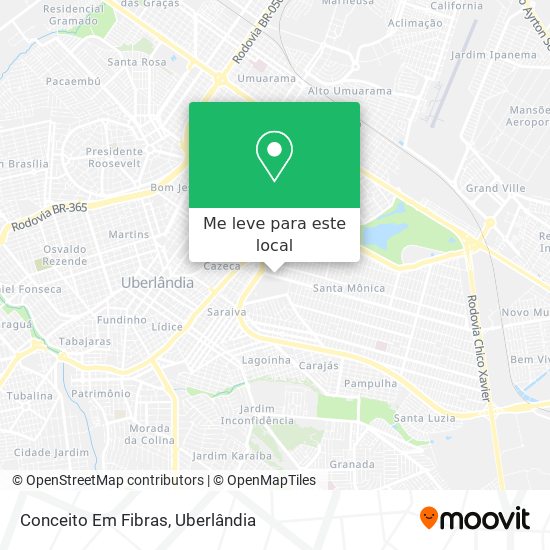 Conceito Em Fibras mapa
