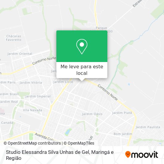 Studio Elessandra Silva Unhas de Gel mapa
