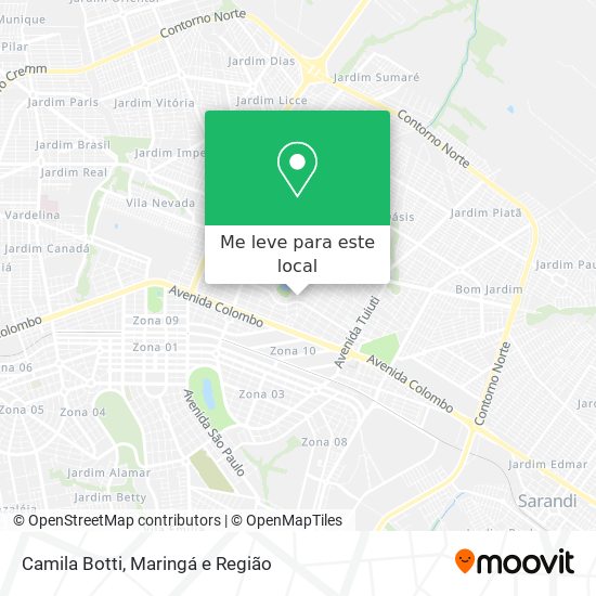 Camila Botti mapa