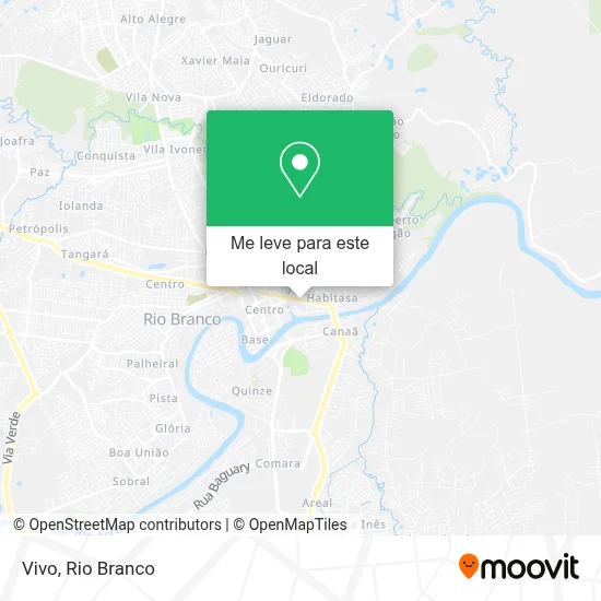 Vivo mapa