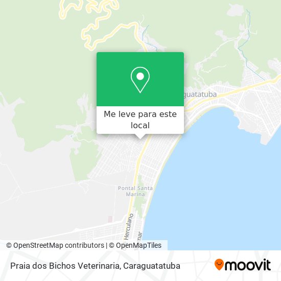 Praia dos Bichos Veterinaria mapa