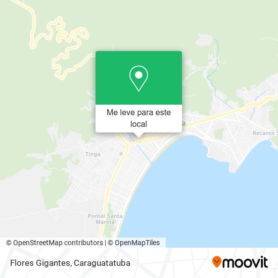 Flores Gigantes mapa