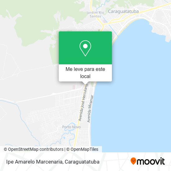 Ipe Amarelo Marcenaria mapa