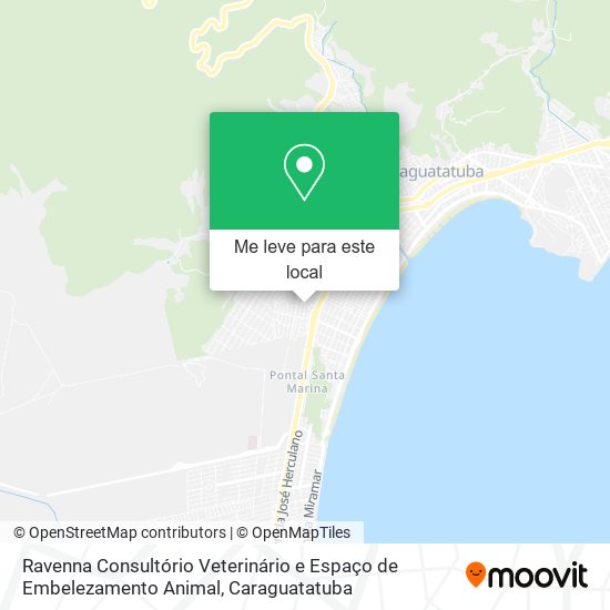 Ravenna Consultório Veterinário e Espaço de Embelezamento Animal mapa