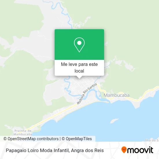 Papagaio Loiro Moda Infantil mapa