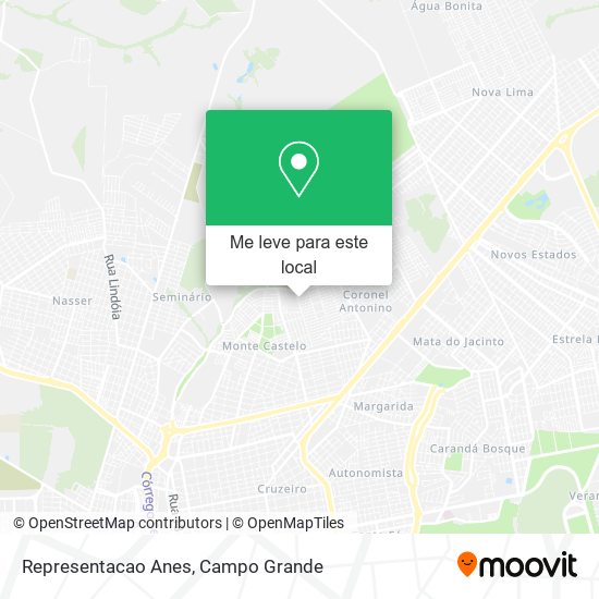 Representacao Anes mapa