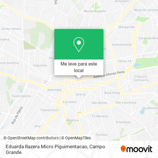 Eduarda Razera Micro Piguimentacao mapa