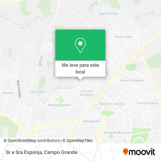 Sr e Sra Esponja mapa