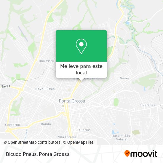 Bicudo Pneus mapa