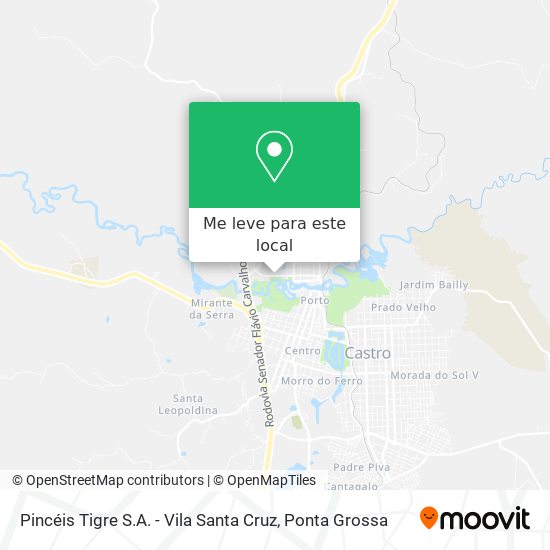 Pincéis Tigre S.A. - Vila Santa Cruz mapa