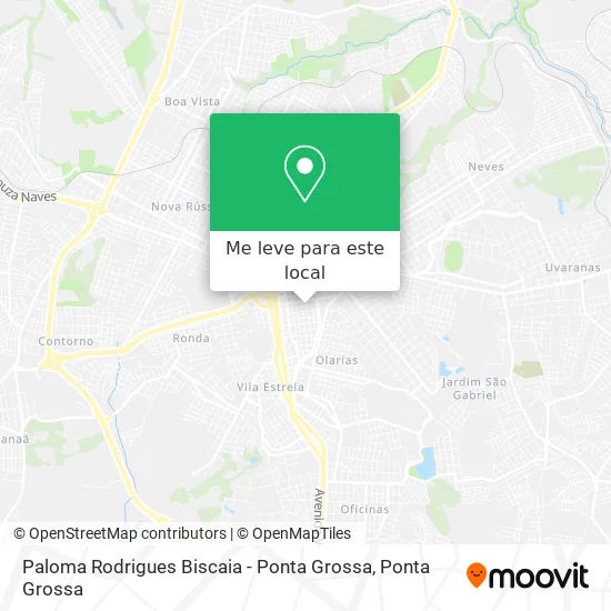 Paloma Rodrigues Biscaia - Ponta Grossa mapa