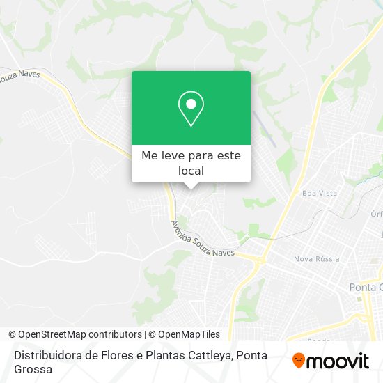 Distribuidora de Flores e Plantas Cattleya mapa