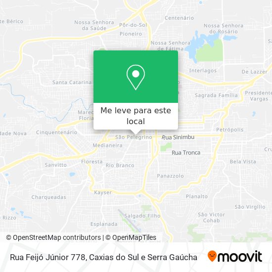 Rua Feijó Júnior 778 mapa