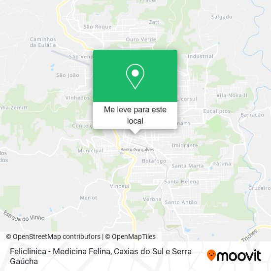 Feliclinica - Medicina Felina mapa