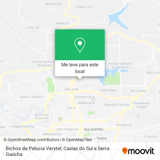 Bichos de Pelucia Verytel mapa