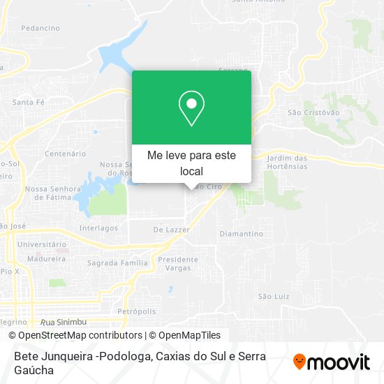 Bete Junqueira -Podologa mapa