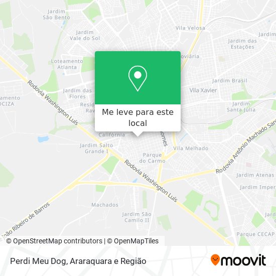 Perdi Meu Dog mapa