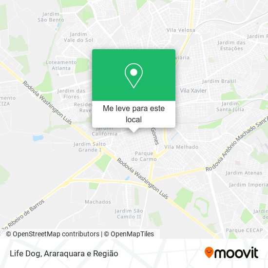 Life Dog mapa