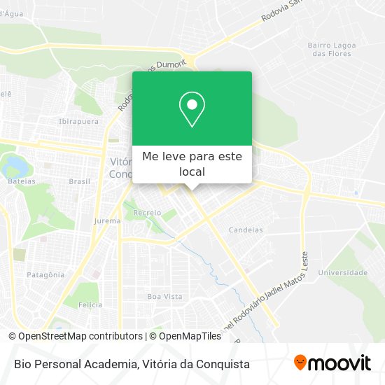 Bio Personal Academia mapa