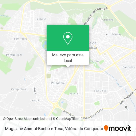 Magazine Animal-Banho e Tosa mapa