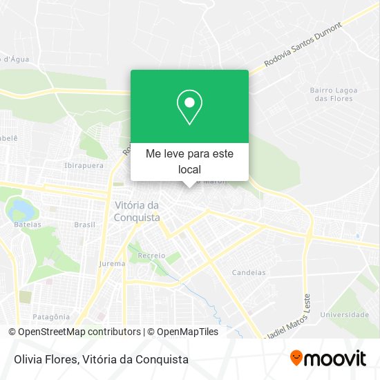 Olivia Flores mapa