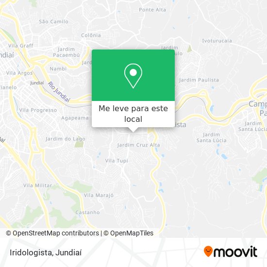 Iridologista mapa