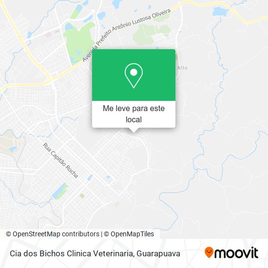 Cia dos Bichos Clinica Veterinaria mapa