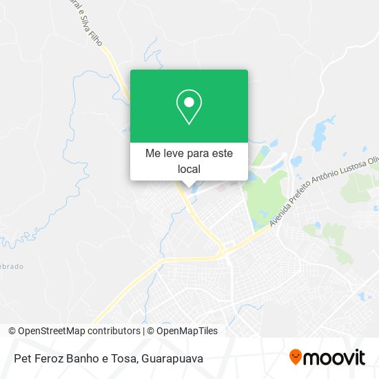Pet Feroz Banho e Tosa mapa