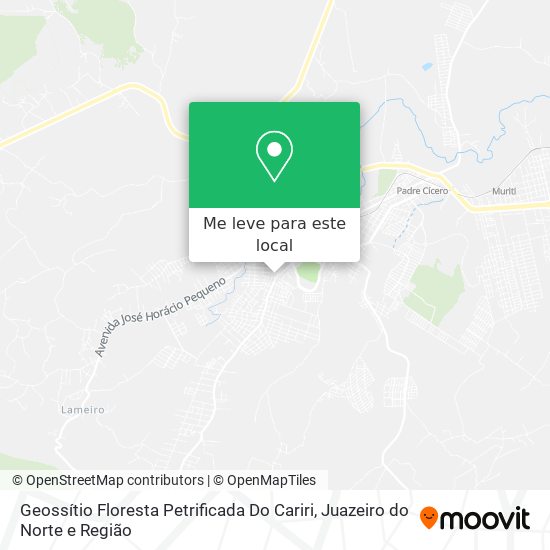 Geossítio Floresta Petrificada Do Cariri mapa