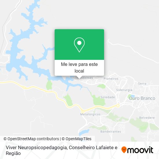 Viver Neuropsicopedagogia mapa