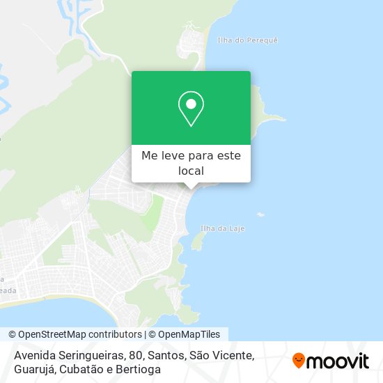 Avenida Seringueiras, 80 mapa