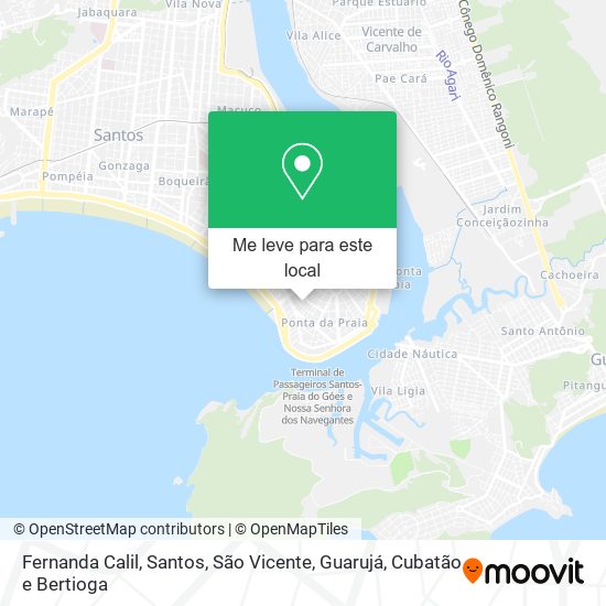 Fernanda Calil mapa