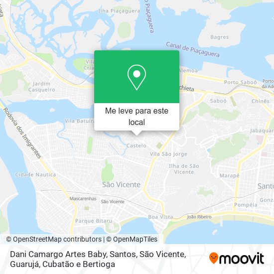 Dani Camargo Artes Baby mapa
