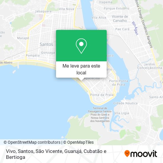 Vivo mapa