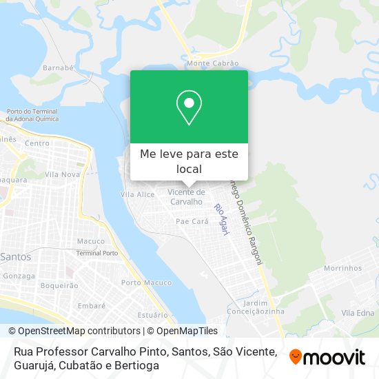 Rua Professor Carvalho Pinto mapa