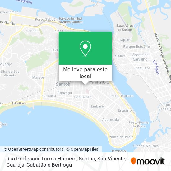 Rua Professor Torres Homem mapa