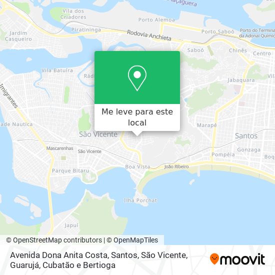 Avenida Dona Anita Costa mapa