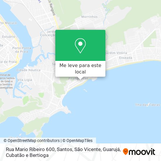 Rua Mario Ribeiro 600 mapa