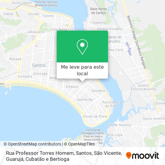Rua Professor Torres Homem mapa