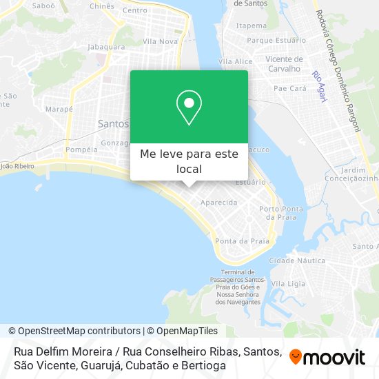 Rua Delfim Moreira / Rua Conselheiro Ribas mapa