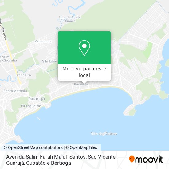Avenida Salim Farah Maluf mapa