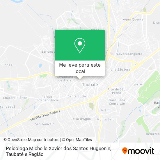 Psicologa Michelle Xavier dos Santos Huguenin mapa