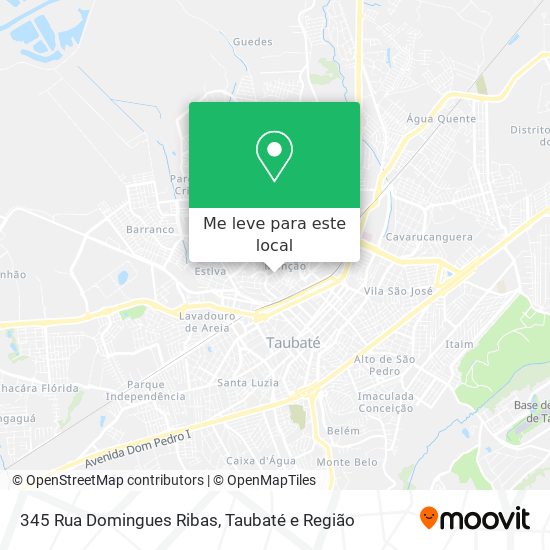 345 Rua Domingues Ribas mapa