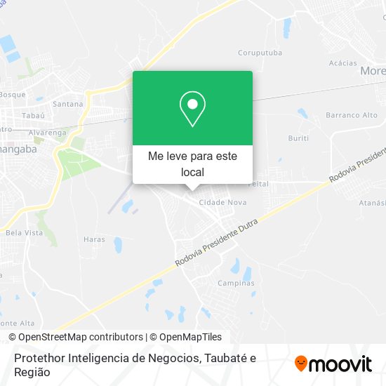 Protethor Inteligencia de Negocios mapa