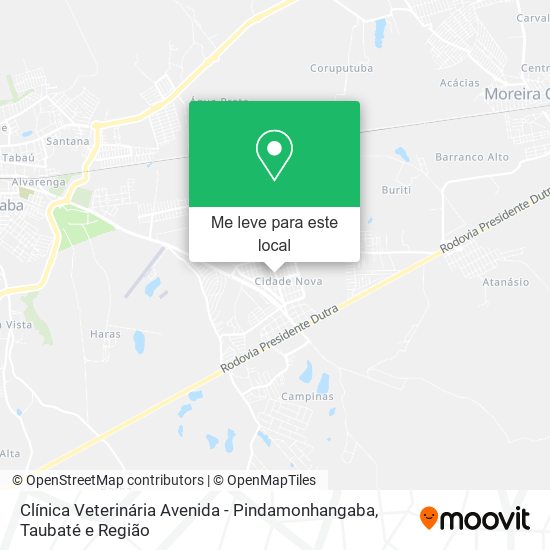 Clínica Veterinária Avenida - Pindamonhangaba mapa